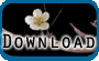 download Asian Variations